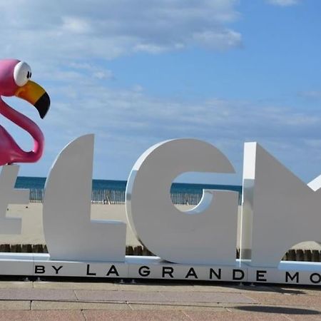 Superbe Studio Au Calme A 8Mn De La Plage La Grande Motte Dış mekan fotoğraf